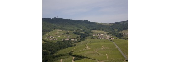 Vins du Beaujolais